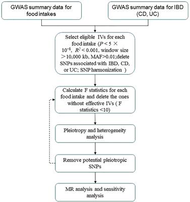 Mendelian randomization analysis reveals causal effects of food intakes on inflammatory bowel disease risk